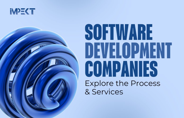 Software Development Companies: Explore the Process & Services